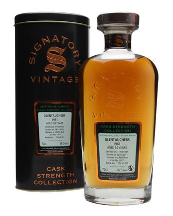Glentauchers 1981 30 年 Cask #1057 Signatory Cask Strength Collection